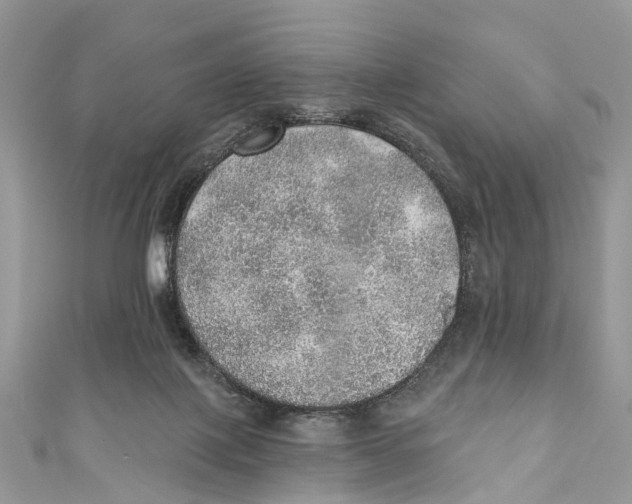 X0000110980075200907171740