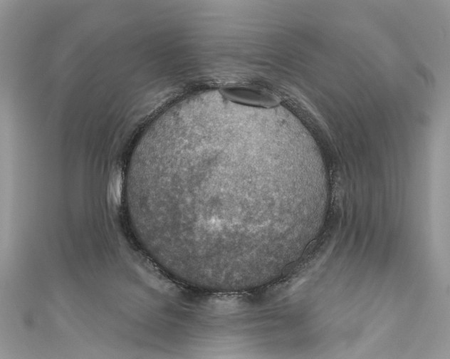 X0000110980076200907171740