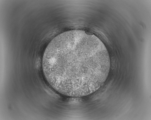X0000110980077200907171740