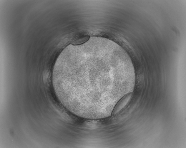 X0000110980079200907171740