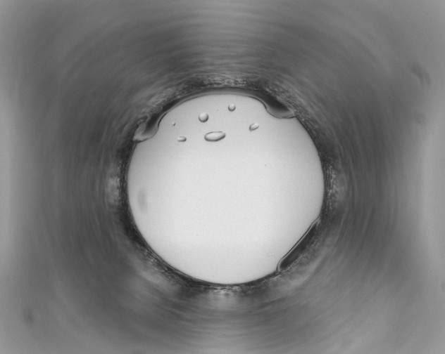 X0000110980080200907171740