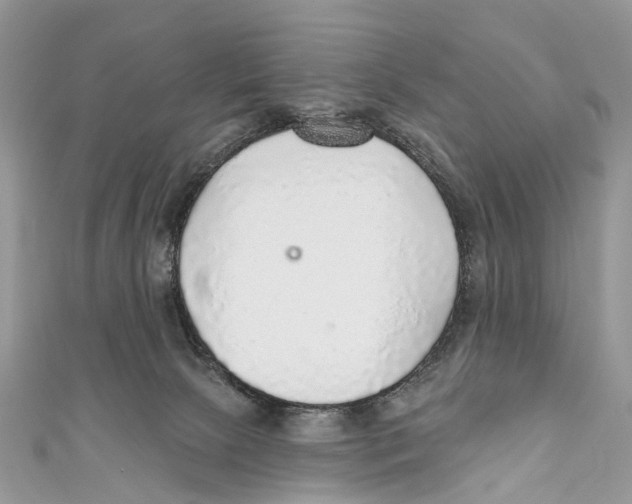X0000110980081200907171740
