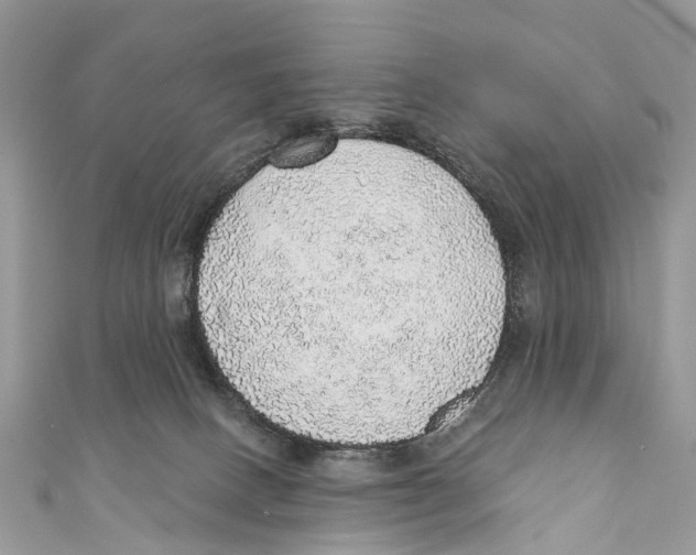 X0000110980082200907171740