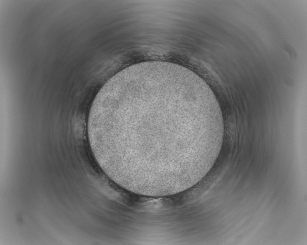 X0000110980083200907171740