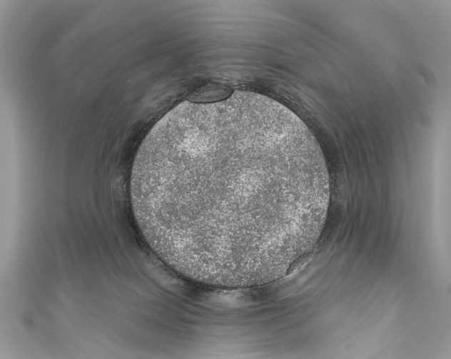 X0000110980086200907171740