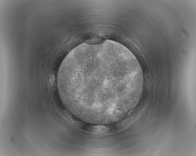 X0000110980087200907171740