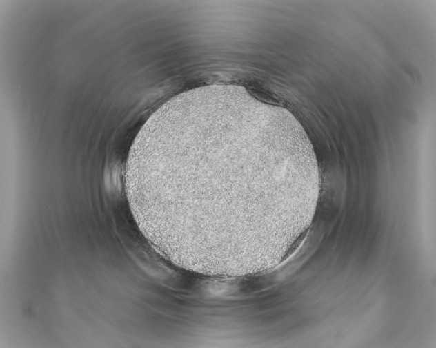 X0000110980094200907171740
