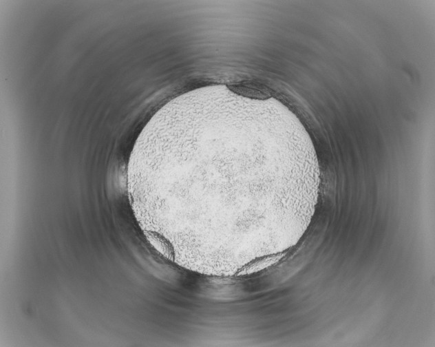 X0000110980095200907171740