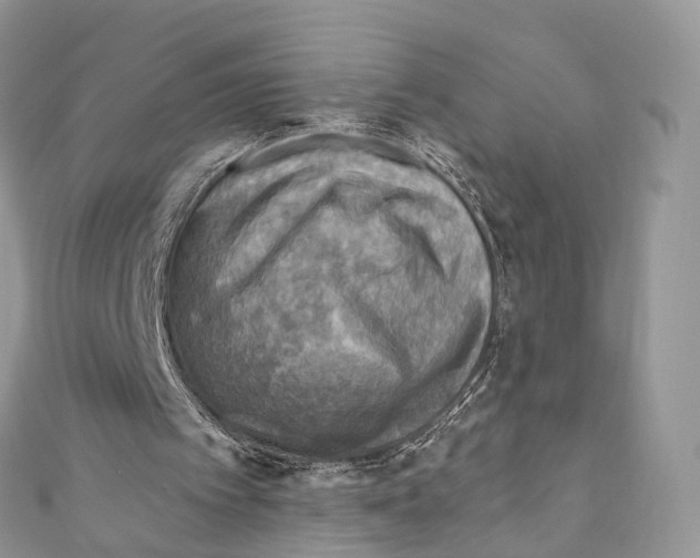 X0000110980097200907171739
