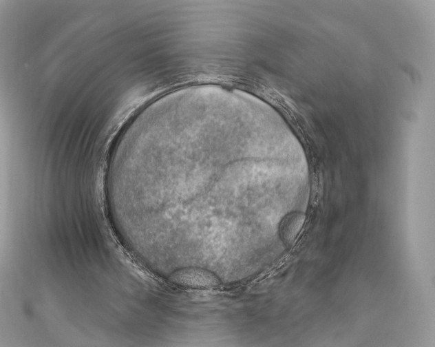 X0000110980098200907171739
