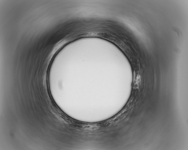 X0000110980099200907171739