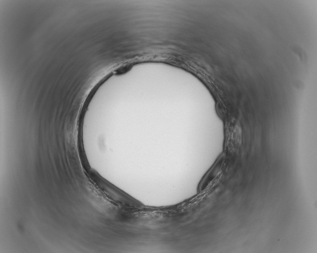 X0000110980100200907171739