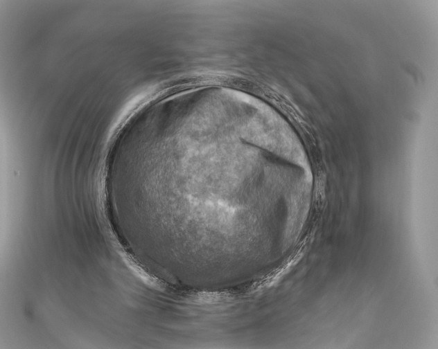 X0000110980101200907171739