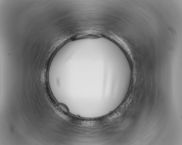 X0000110980105200907171739