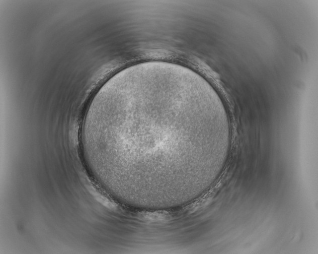 X0000110980106200907171739