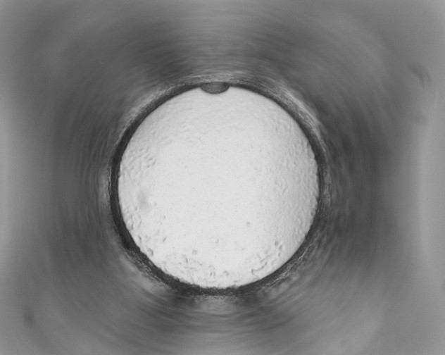 X0000110980107200907171739