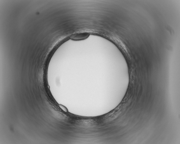 X0000110980108200907171739
