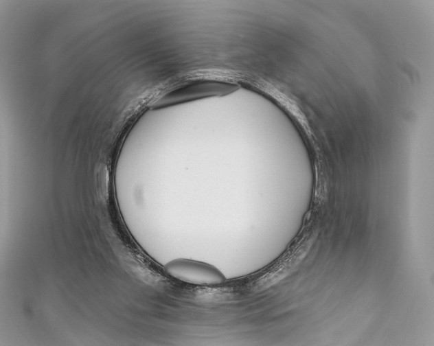 X0000110980109200907171739