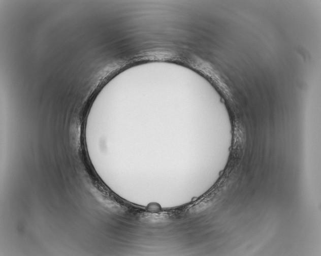 X0000110980110200907171739