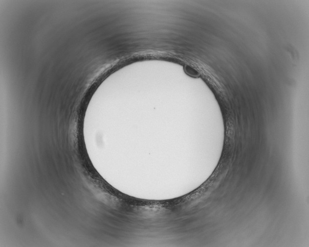 X0000110980112200907171739