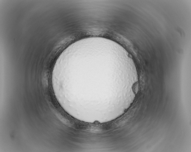 X0000110980114200907171739