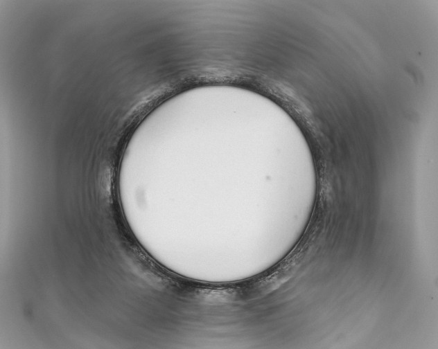 X0000110980115200907171739