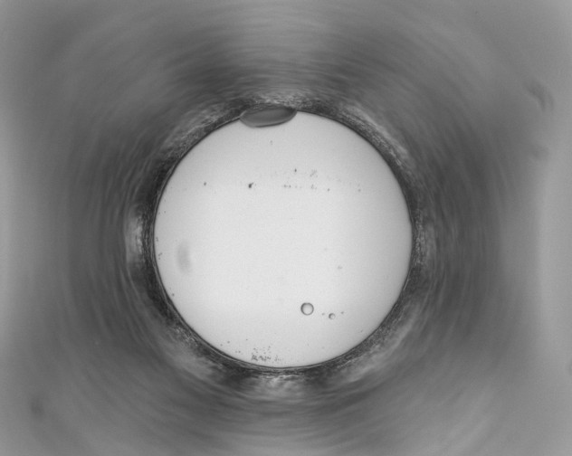 X0000110980117200907171739