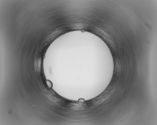 X0000110980118200907171739