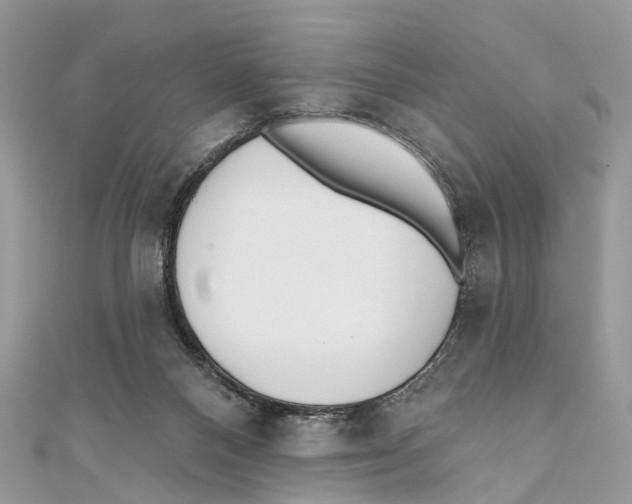 X0000110980120200907171739