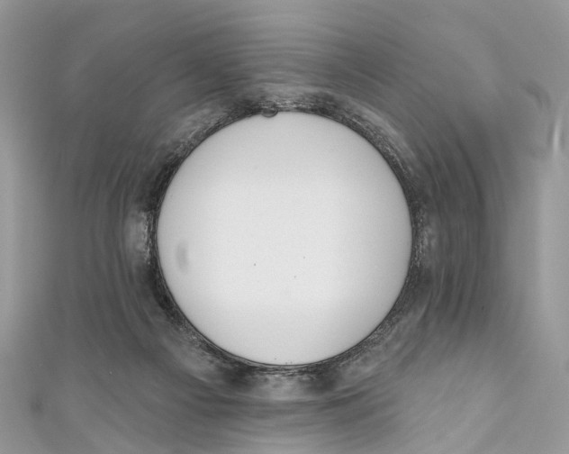X0000110980121200907171739