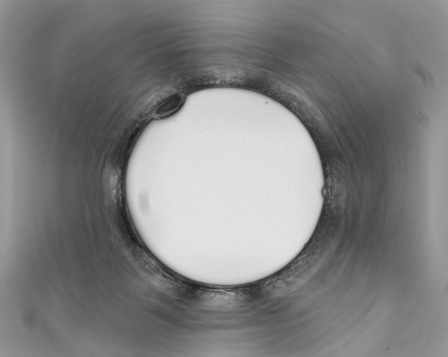 X0000110980123200907171739