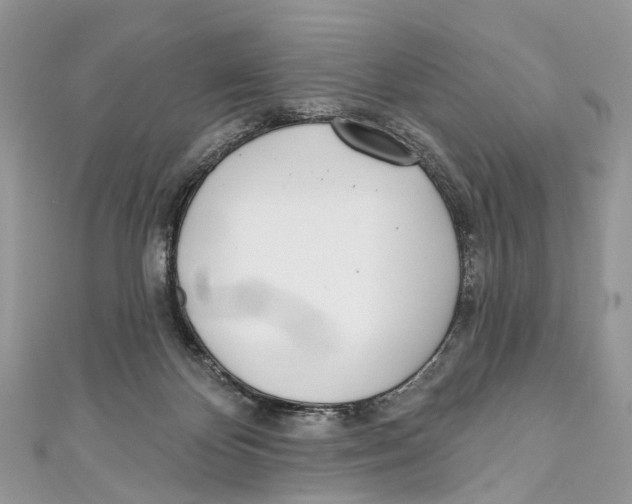 X0000110980124200907171739