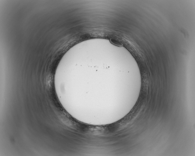 X0000110980125200907171739