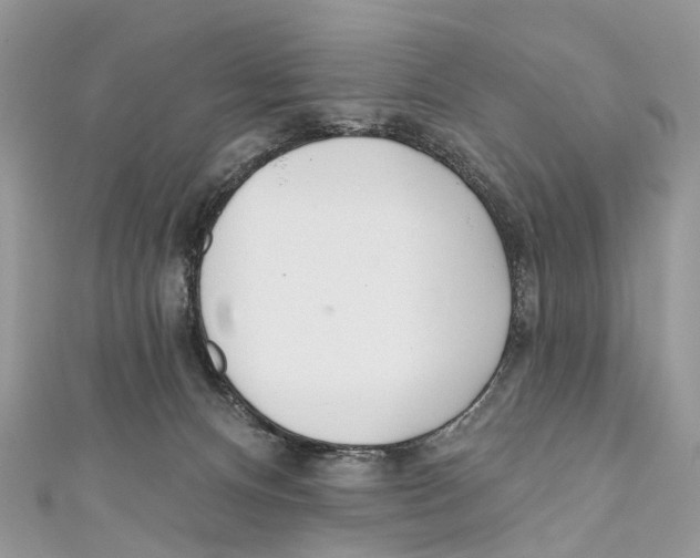 X0000110980128200907171739