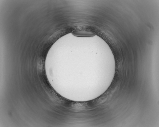 X0000110980129200907171739