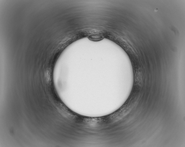 X0000110980131200907171739