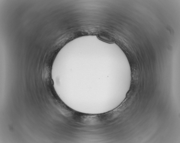 X0000110980132200907171739