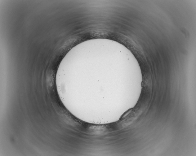 X0000110980133200907171739