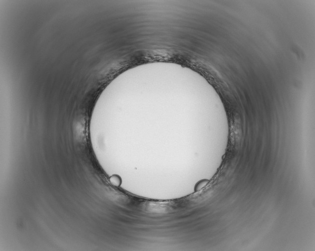 X0000110980134200907171739