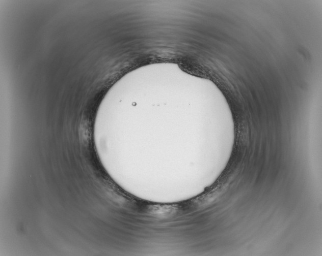 X0000110980135200907171739