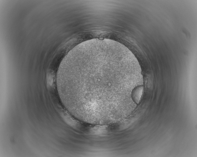 X0000110980138200907171739