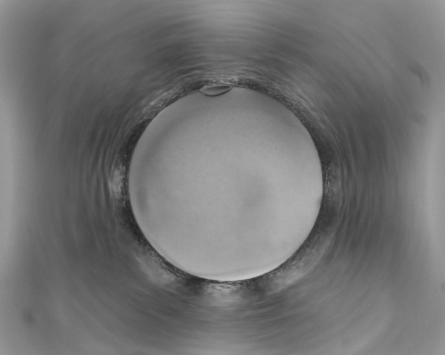 X0000110980139200907171739