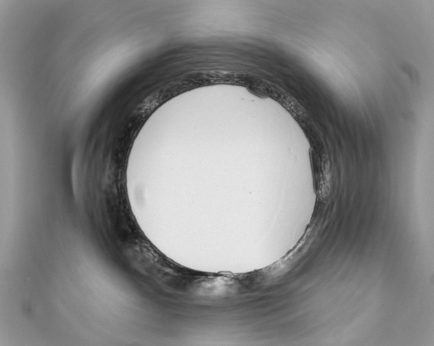 X0000110980140200907171739