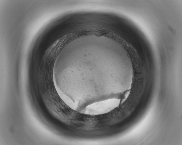 X0000110980143200907171739