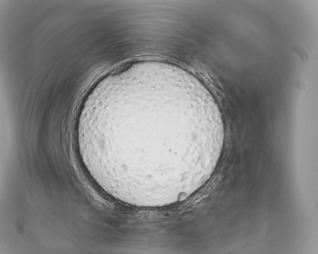 X0000110980145200907171738