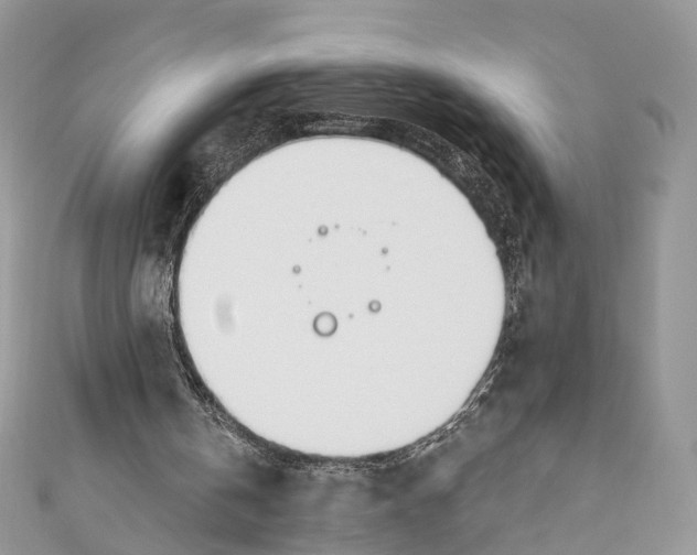 X0000110980146200907171738