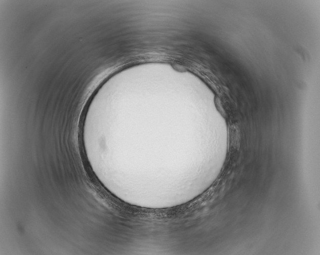 X0000110980147200907171738