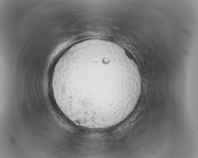 X0000110980149200907171738