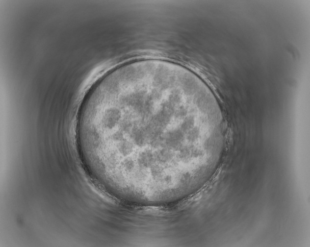 X0000110980151200907171738