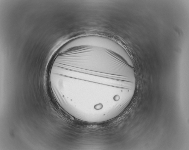 X0000110980152200907171738